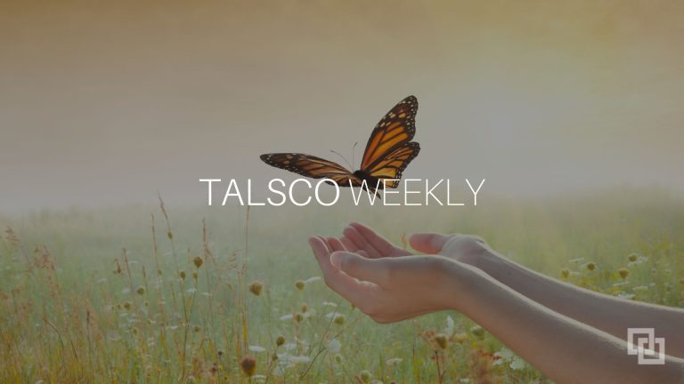 AI ERP Transformation Talsco Weekly